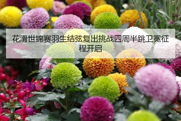 hua-hua-shi-jin-sai-yu-sheng-jie-xian-fu-chu-tiao-zhan-si-zhou-ban-tiao-wei-mian-zheng-cheng-kai-qi-2-899.jpg
